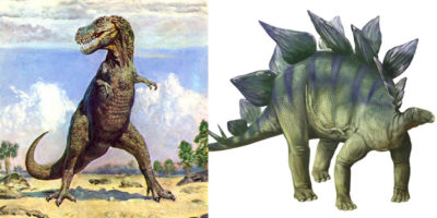 Picture Can You Make It Through This Post Without Having Your Mind Blown?