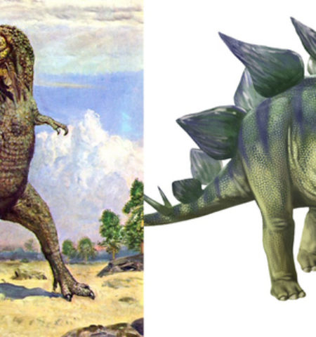 Picture Can You Make It Through This Post Without Having Your Mind Blown?