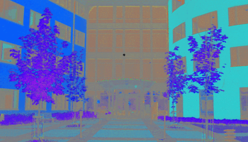 Picture Brain Teasing Black and White Illusion.