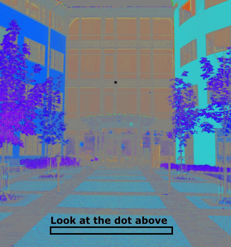 Picture Brain Teasing Black and White Illusion.