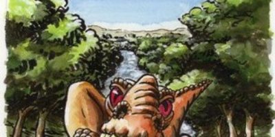 Picture During A Lucid Dream You Can Often Control Your Dream.