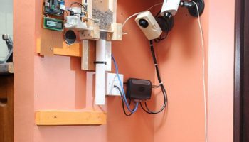 Picture Man Feed His Dog Using Twitter.