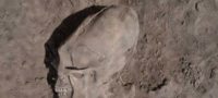 Picture Unbelievable ‘Alien’ Like Skulls Found in Mexico.