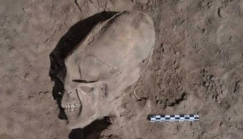 Picture Unbelievable ‘Alien’ Like Skulls Found in Mexico.