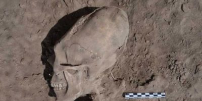 Picture Unbelievable ‘Alien’ Like Skulls Found in Mexico.