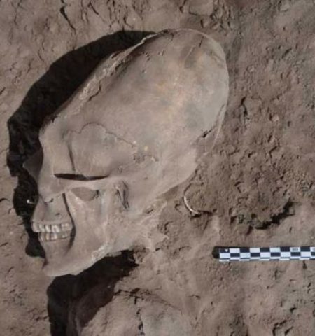 Picture Unbelievable ‘Alien’ Like Skulls Found in Mexico.