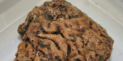 Picture Astounding Discovery Of 2684 Years Old Human Brain.