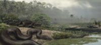 Picture Titanoboa – Largest Snake Ever Lived On The Earth