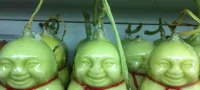 Picture Buddha Shaped Pears.