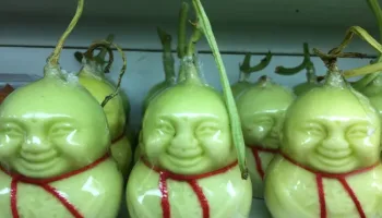 Picture Buddha Shaped Pears.