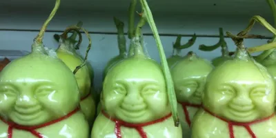 Picture Buddha Shaped Pears.