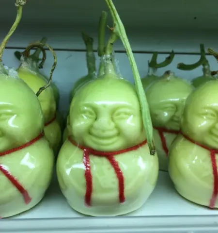 Picture Buddha Shaped Pears.