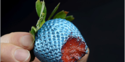 Picture German Food Company Has Made Edible Spray Paint.