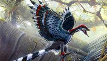 Picture Birds or Baby Dinosaurs?