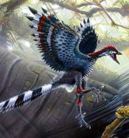 Picture Birds or Baby Dinosaurs?