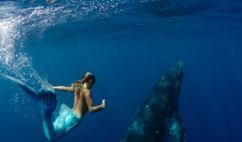 Picture A Mermaid’s Tail: A real-Life Mermaid Who Swims With the Sharks and Can Hold Her Breath for 2 Minutes Underwater