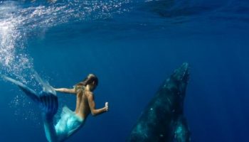 Picture A Mermaid’s Tail: A real-Life Mermaid Who Swims With the Sharks and Can Hold Her Breath for 2 Minutes Underwater