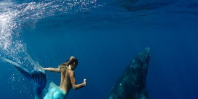Picture A Mermaid’s Tail: A real-Life Mermaid Who Swims With the Sharks and Can Hold Her Breath for 2 Minutes Underwater