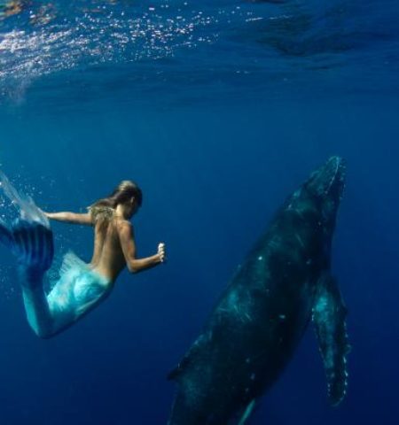Picture A Mermaid’s Tail: A real-Life Mermaid Who Swims With the Sharks and Can Hold Her Breath for 2 Minutes Underwater
