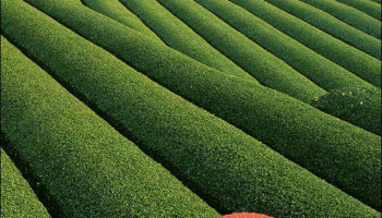 Picture 10 Unbelievable Places On Earth Pt.2