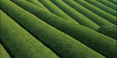 Picture 10 Unbelievable Places On Earth Pt.2