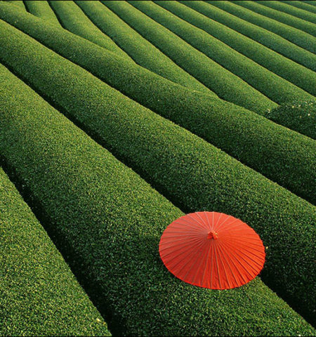 Picture 10 Unbelievable Places On Earth Pt.2