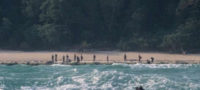 Picture The North Sentinel Island : One of the most isolated and unwelcomed places on the Earth.