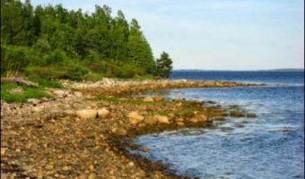 Picture The Mystery Of The Elusive Treasure Of Oak Island