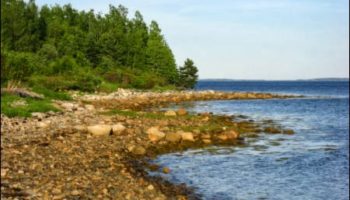 Picture The Mystery Of The Elusive Treasure Of Oak Island