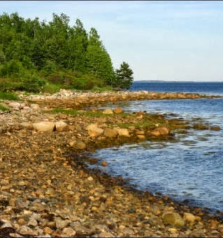 Picture The Mystery Of The Elusive Treasure Of Oak Island