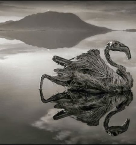 Picture This Lake Doesn’t Just Kill, It Makes The Corpse Turn Stone