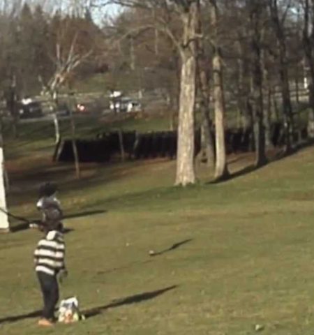 Picture Viral Video Of Golden Eagle Snatching A Toddler In Canada Was Fake Admit Students Of Canada Design School