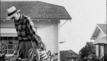 Picture A Family From Texas Had A Lion As A Pet And Never Had Any Incident With Her