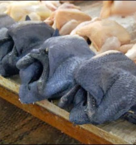 Picture Did You Know That There Exists Black Skinned Chicken?