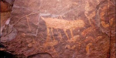 Picture White Lipped Peccaries Trails Help Discover Cave Drawings 10,000 Years Old