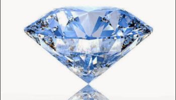 Picture It Might Sound Creepy But A Swiss Company Makes Things Out Of Dead Bodies. But The Final Product Will Leave You Fascinated