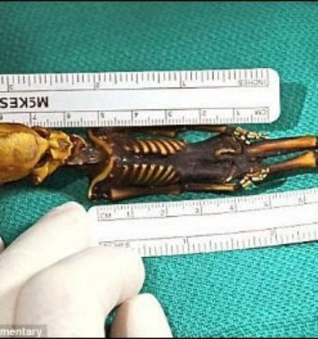 Picture Skeleton Of ‘Alien Looking’ Tiny Creature with Nine Ribs Which Was Discovered Was Actually A Human, Reveal Scientists
