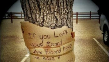 Picture These 20 Photos Will Make You Cry,But It’s Totally Worth It