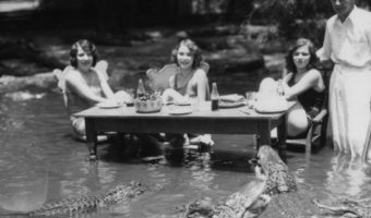 Picture Here Are Some Shocking Photos Of People Posing With Alligators In The 1920’S At The Los Angeles Alligator Farm.