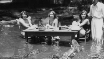 Picture Here Are Some Shocking Photos Of People Posing With Alligators In The 1920’S At The Los Angeles Alligator Farm.
