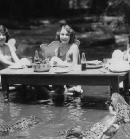 Picture Here Are Some Shocking Photos Of People Posing With Alligators In The 1920’S At The Los Angeles Alligator Farm.