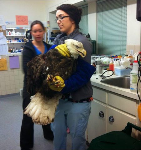 Picture At An Animal Hospital, Vets Were Not Expecting This To Show Up But It Did And They Were More Than Surprised!