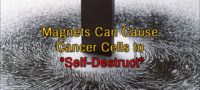 Picture Scientists In Korea Have Found Magnets To Be A Cure For Cancer