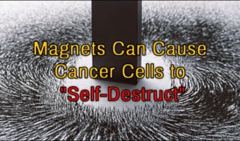 Picture Scientists In Korea Have Found Magnets To Be A Cure For Cancer