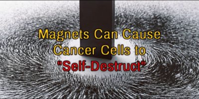 Picture Scientists In Korea Have Found Magnets To Be A Cure For Cancer