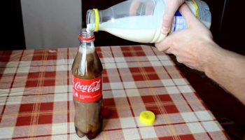 Picture You May Never Drink Coke Again After Watching This Experiment