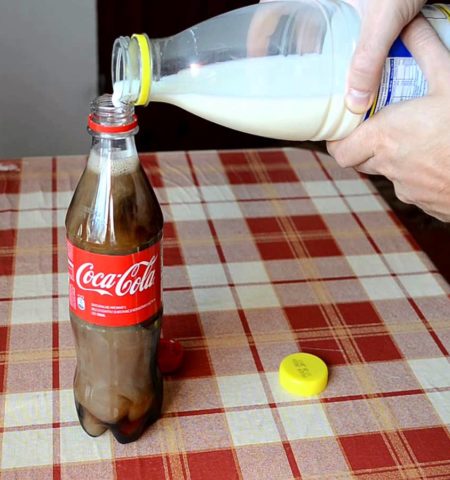 Picture You May Never Drink Coke Again After Watching This Experiment