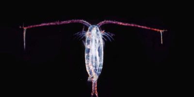 Picture Plastics In The Ocean Are Disappearing Mysteriously And Scientists Believe These Could Be The Reasons Why