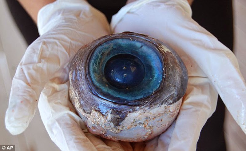 Giant Eyeball 