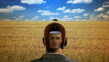 Picture 10 Mind Blowing Psychological Findings That Will Contradict What You Know To Be True